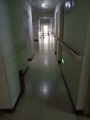 曾家岩养老院（重庆惠源家养老）图片