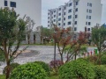 湖南洪江湘中源老年事业有限公司图片