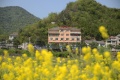 杭州市临安区青山湖康寿养老院图片