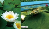 突泉县安养院图片