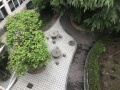 上海市虹口江湾镇敬老院图片