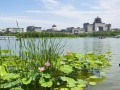 新华家园莲花池尊享公寓图片