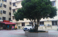 上海虹口区吉阳红敬老院图片