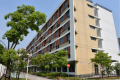 上海市浦东新区三林镇常青养老院图片