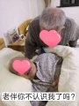 九如城（中春）康养中心图片