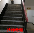 上海普陀区宜川路街道泰山敬老院图片