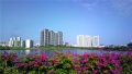 广州市怡乐养老院图片