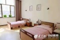 第十二师康悦养老院图片