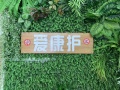 合肥爱康护养老服务有限公司图片