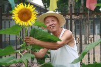 北京市大兴区青云店镇敬老院图片