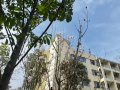 苍南县睦邻康养中心图片