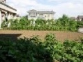 沈阳常青藤老年公寓图片