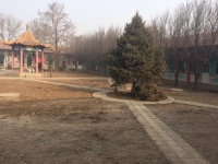 北京市通州区西集镇郎府敬老院图片