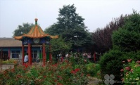 北京市通州区西集镇郎府敬老院图片