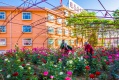 内蒙古巴彦淖尔市临河区康泰老人乐园图片