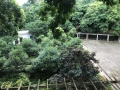 月湖康养中心图片