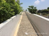 珠海乐龄候鸟度假养生养老基地图片