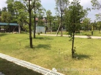珠海乐龄候鸟度假养生养老基地图片