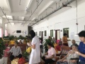 电白区松柏养老院图片