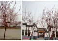 包头市众德健康养老院图片