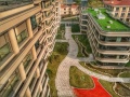 南京钟山颐养园图片