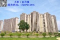 广西太和·自在城图片
