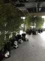 中置颐养老年公寓图片