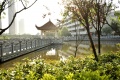 长沙市康乃馨老年呵护中心图片