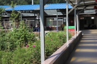 北京市延庆区温馨之家养老院图片