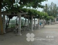 辽宁省大连市普兰店市福利院图片