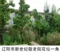 辽宁省辽阳市弓长岭区新世纪敬老院图片