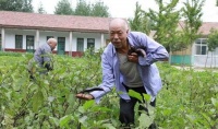 山东省临沂市临沭县蛟龙镇敬老院图片
