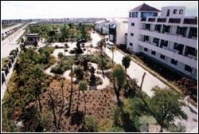 上海市松江区社会福利院图片