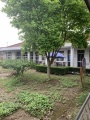 上海市崇明区新村敬老院图片